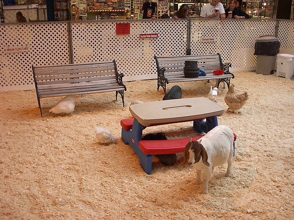 Kinderboerderij Bijlmerweide