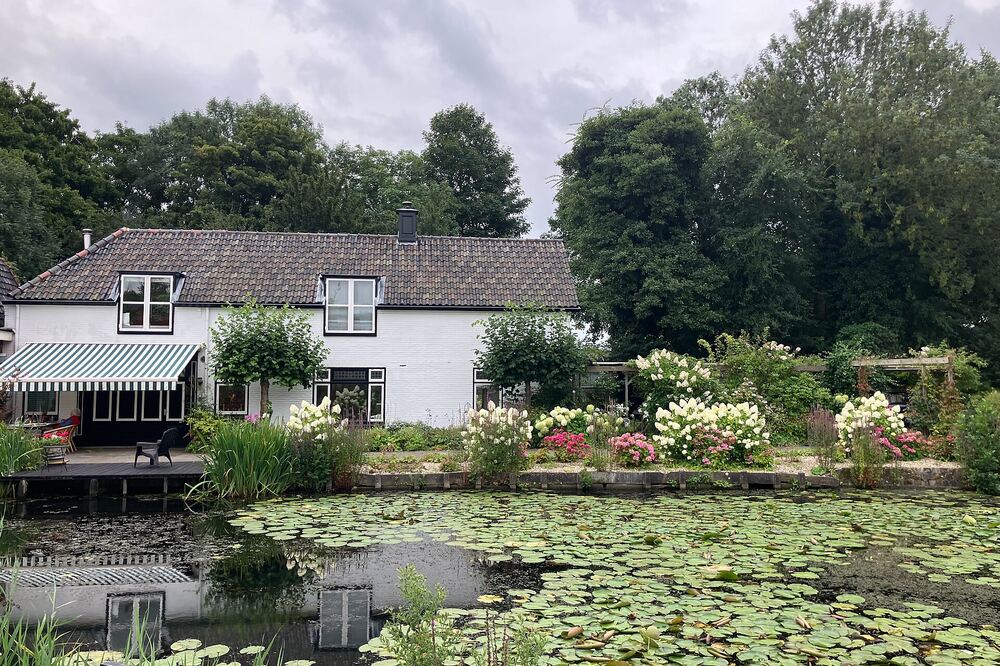 Woonhuizen aan een met waterlelies begroeide gracht in Weesp