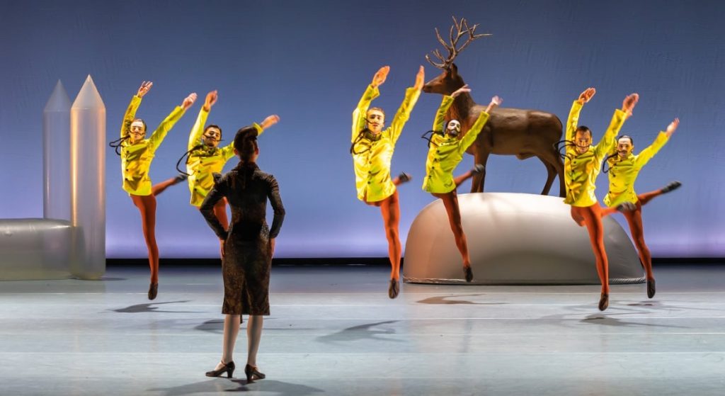 Swan Lake – Introdans in Weesp